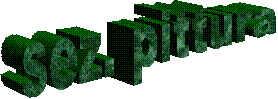 sez. pittura